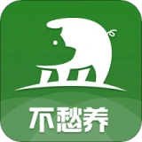 不愁养猪