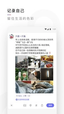 有记图3