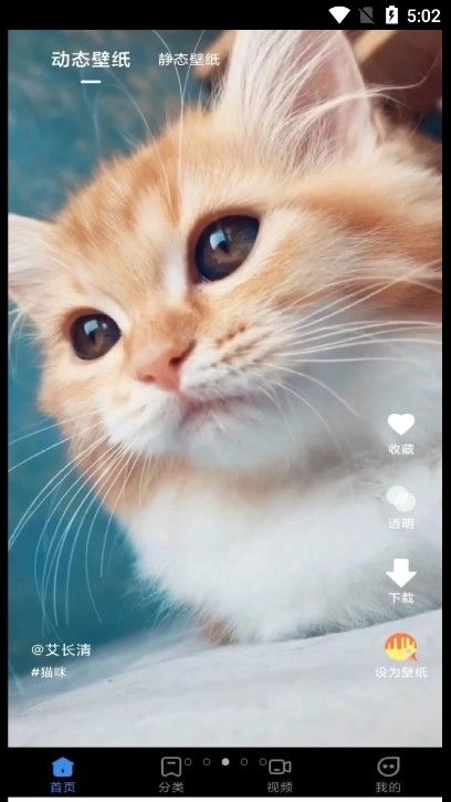 快滑壁纸秀秀手机最新版图1