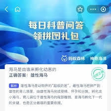 海马的幼崽是由哪一方来孵化的