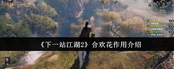 下一站江湖2里合欢花有什么用