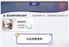 宠物星球的新手们通常会遇到哪些需要解答的问题？
