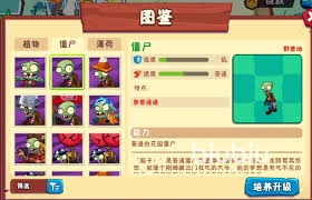 植物大战僵尸3这款游戏里都包含了哪些类型的僵尸呢？