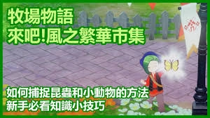 牧场物语风之繁华集市里抓昆虫的方法是什么