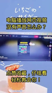 抖音网页版视频没有声音该怎么处理
