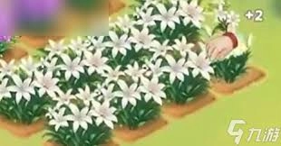 我的花园世界里要怎么批量种植花朵呢