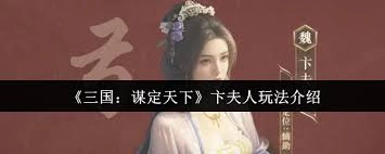 三国谋定天下里卞夫人的玩法攻略