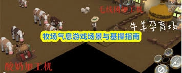 牧场风味水果汁沙拉布丁冰淇淋的菜谱都有哪些呢