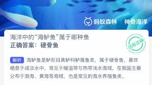 哪一种海洋动物的外形可以用“鱼的身体、鸟的翅膀”来描述呢