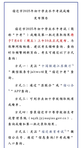 怎么通过宿心办查询中考成绩