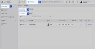 Lark会议链接无法正常打开时该怎么处理