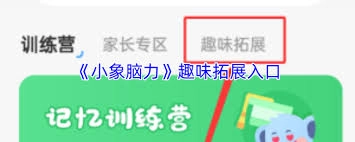小象脑力趣味拓展活动的参与方式是怎样的