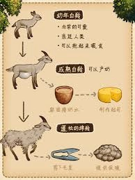 村落人生植物生存指引