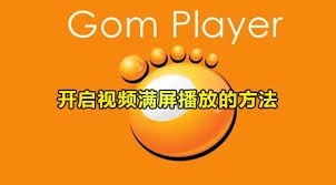 GOMPlayer如何设置视频全屏播放