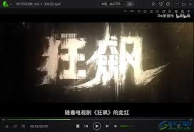 爱奇艺万能播放器的记忆播放功能要怎么设置