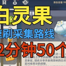 原神白灵果的采集位置在哪里