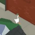 无名鹅作剧