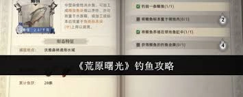 荒原曙光里钓鱼的方法是什么
