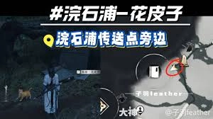 燕云十六声里墨城妙妙喵的具体位置是哪里