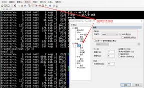 SecureCRT中如何配置黑色背景与白色文字显示
