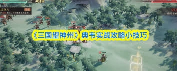 三国望神州典韦的实战玩法技巧