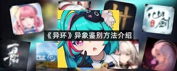 异环的鉴别等级是怎样判定的