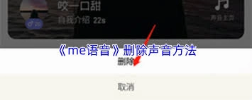 怎样清除me语音的声音