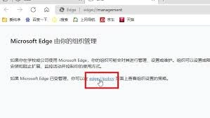 怎样让Edge浏览器显示内联释义