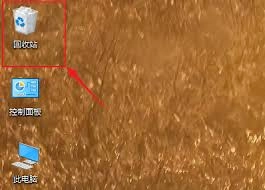 被promovie删掉的视频要怎么找回呢