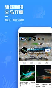 在鲲天下平台上，用户要怎样操作才能把自己发布的作品删除掉呢？