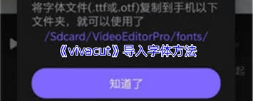 vivacut导入字体的方法是什么