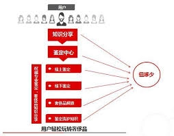 值哆少平台发布鉴定的具体步骤是怎样的