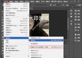 在gif制作器里怎样给动图添加文字呢
