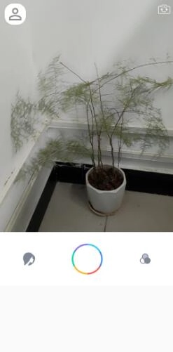 惊鸿相机官方版图3
