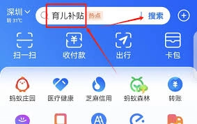 申请支付宝育儿补贴的具体步骤是什么