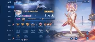王者荣耀里曹操的逐霄之志皮肤定价是多少呢