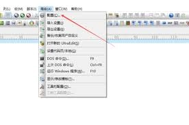 UltraEdit怎样配置才能自动切换到DOS格式
