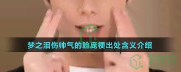 梦之泪伤那张帅气脸庞相关的梗具体指什么呢