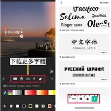inshot导入字体的操作方法是怎样的