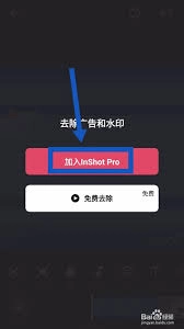 inshot里的水印要怎么去掉呢