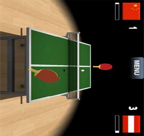 Virtual Table Tennis(3)