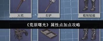 荒原曙光的属性点应该怎么分配才合适