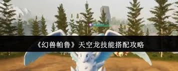 幻兽帕鲁天空龙的技能搭配有哪些技巧