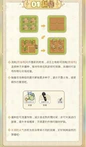 光与夜之恋里的丰果农场要怎么玩呢