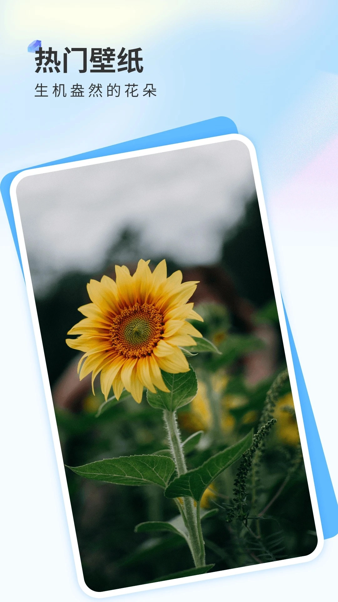 克拉壁纸老版图2