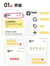 原子笔记app的搜索功能要怎么使用