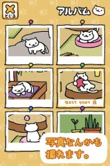 收集猫猫图2