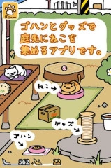 收集猫猫图1