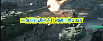 三角洲行动里的巴克什密码是不是每天都会更新呢