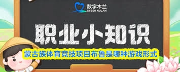 布鲁属于什么类型的游戏形式